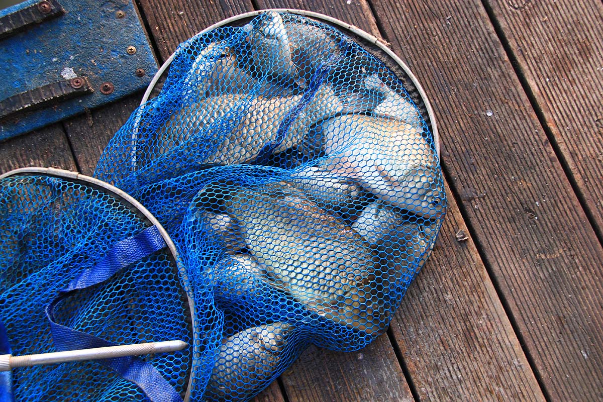 0b1a1178e4b5f3b17f8ea085be76adb9_1653218277_5591.jpg