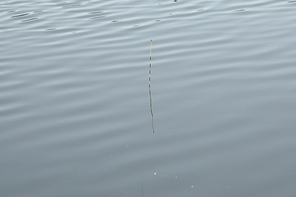 0e1dc4585726f357aa685c83b22974c2_1674979390_8777.jpg