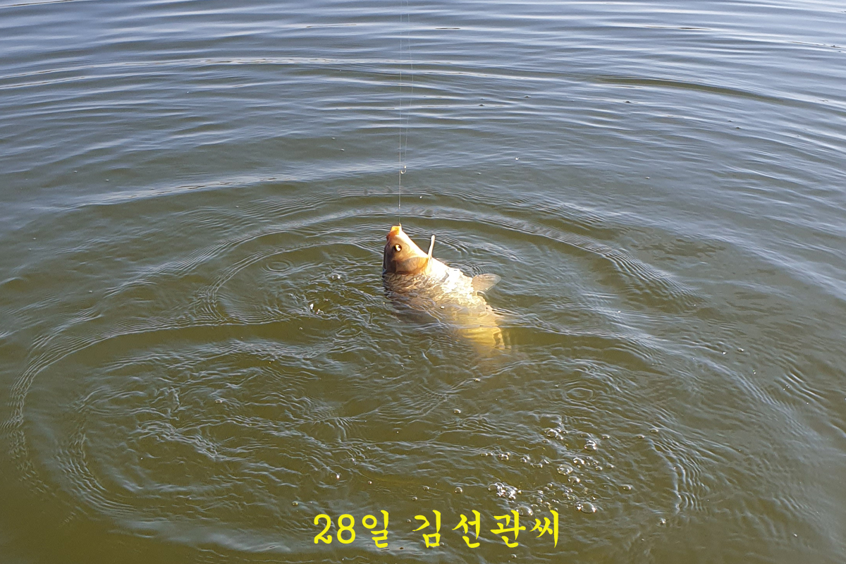 2032cae2f05e29799ead2a454a05a0bb_1643534908_0228.jpg