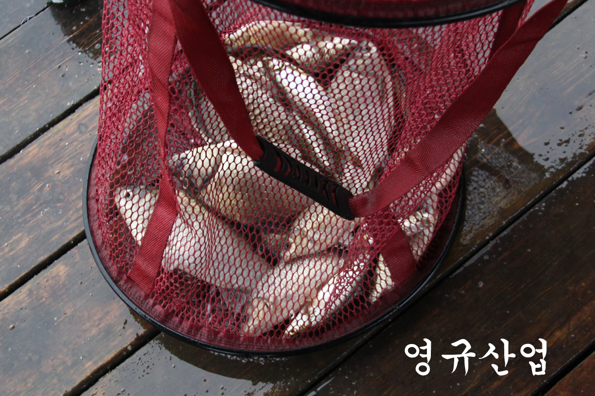 2cdef2379b8ba6b8836d206b22f9aec6_1621150899_1162.jpg