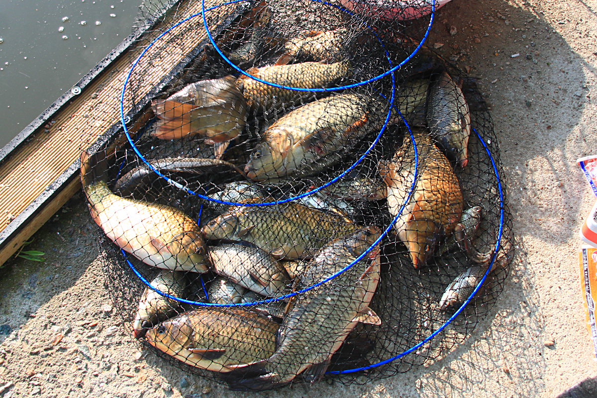 2dd05364ee28263d9737bd805fd1e4d8_1650179796_1168.jpg