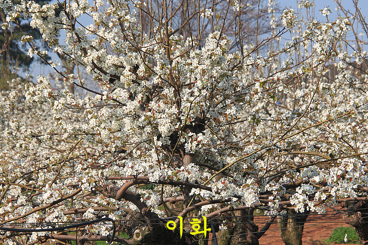 2dd05364ee28263d9737bd805fd1e4d8_1650179813_6216.jpg