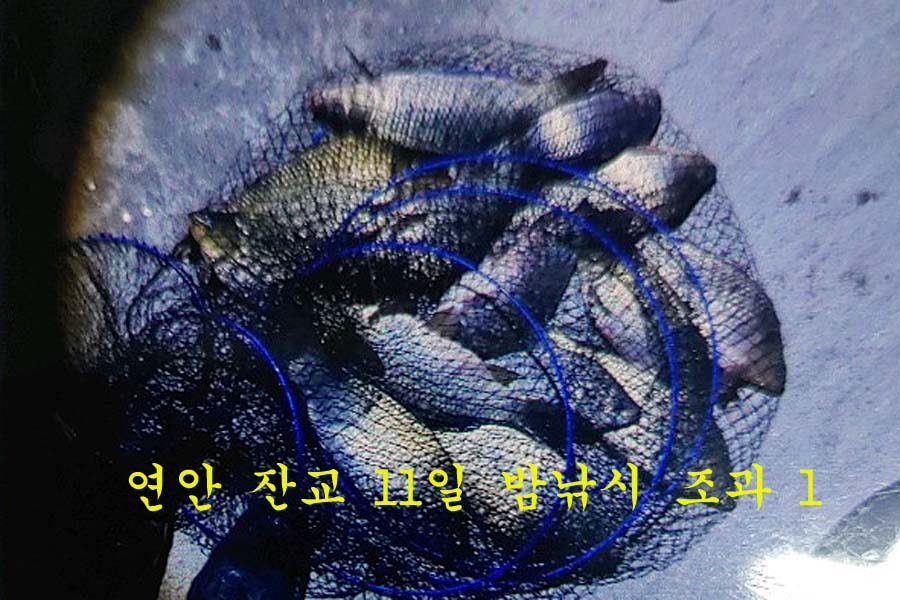 30a74e8048647b360992fceee84d2861_1647154761_3425.jpg