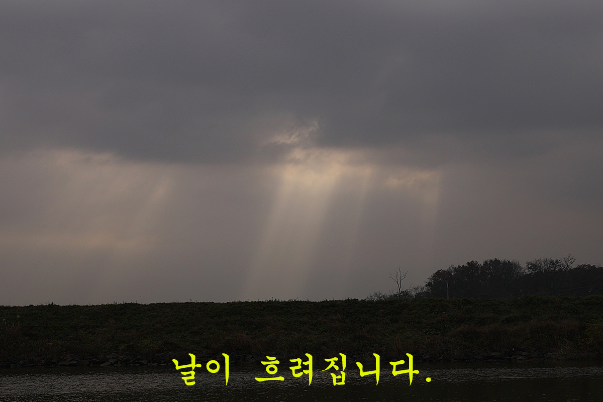 3ae85f6ee853ee4a80558ad96058391a_1668506679_2511.jpg