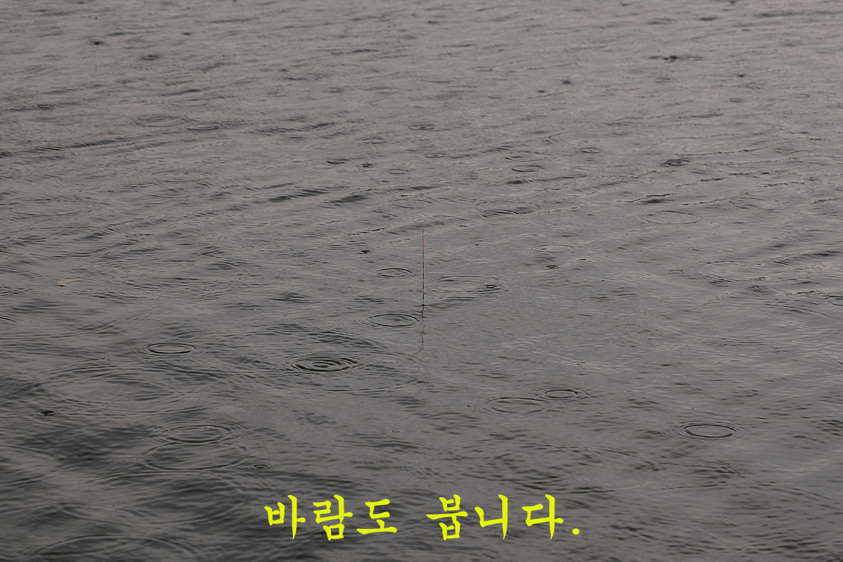 3ae85f6ee853ee4a80558ad96058391a_1668506707_8408.jpg