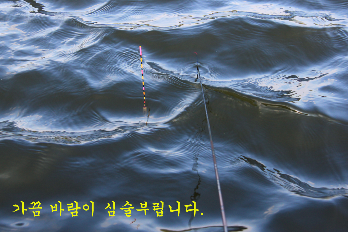 3b583df24a30f581d57be082c2b03450_1631444204_2066.jpg