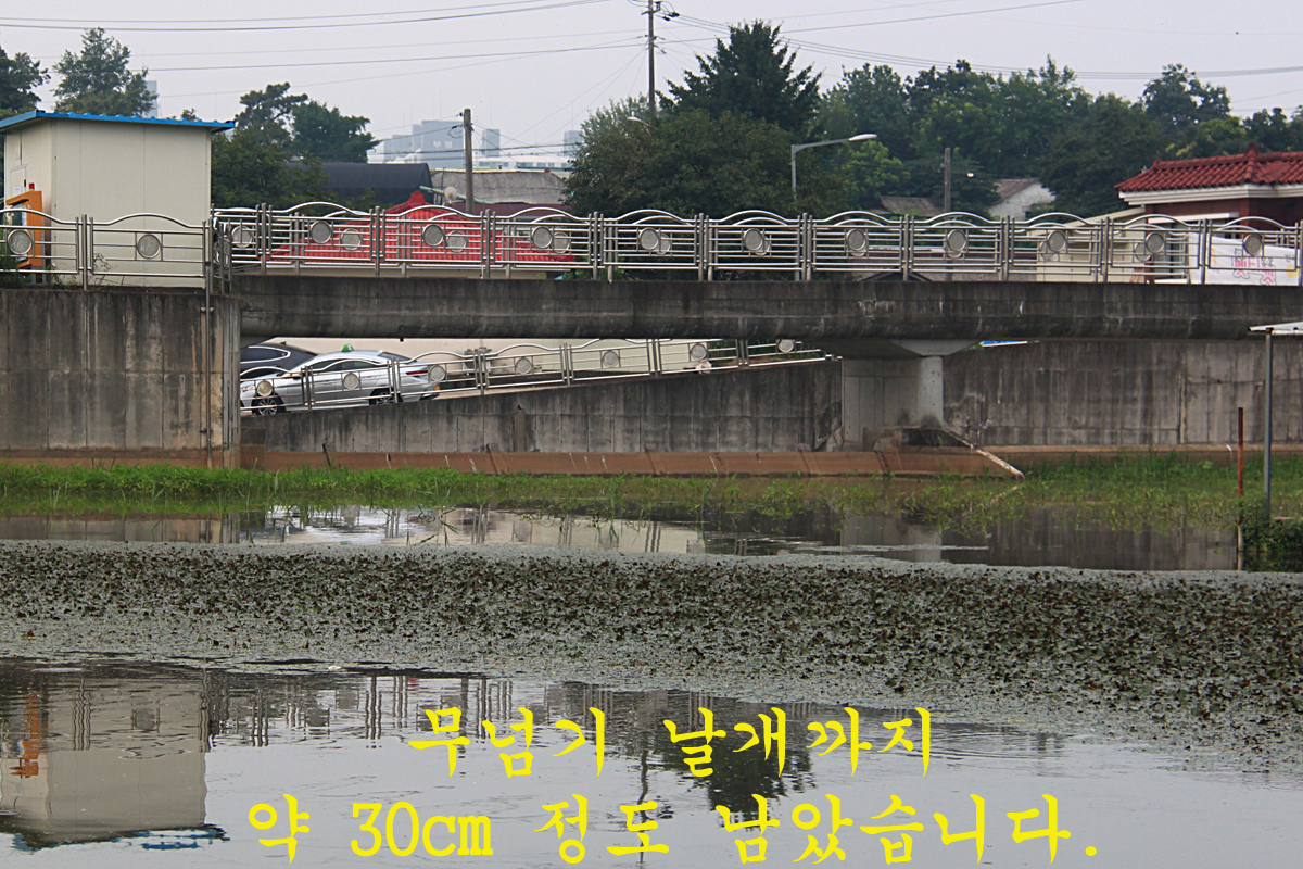 3efcd81713ce7adcef2fdcfd0c4ff76e_1658039524_5179.jpg