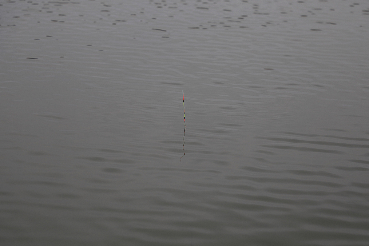 517d6649da54755e88fd1b3c02418251_1616924333_6799.jpg