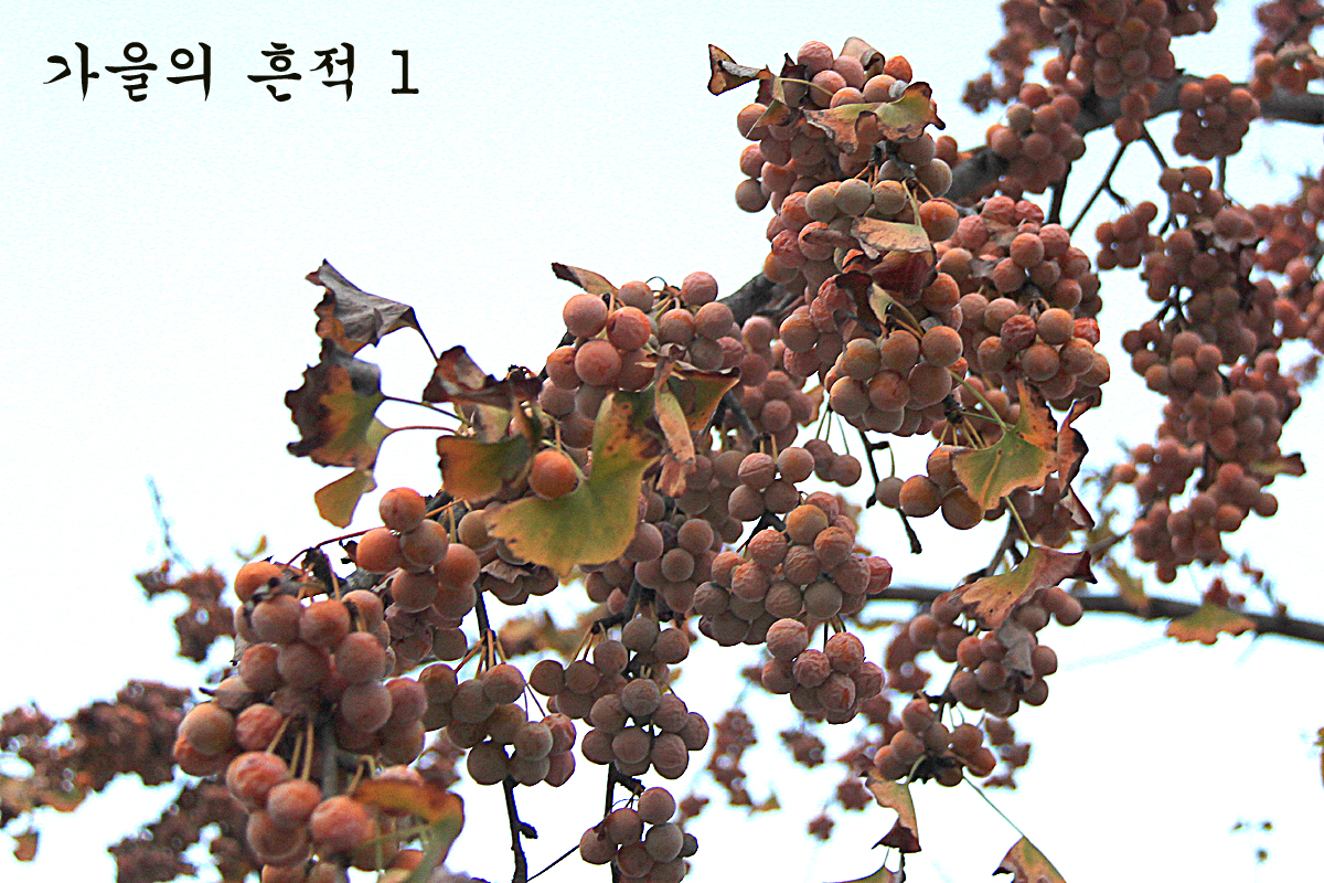 5ceb4bb8cab7dd38368f6e95261d7238_1636865183_9523.jpg 5ceb4bb8cab7dd38368f6e95261d7238_1636865183_9523.jpg