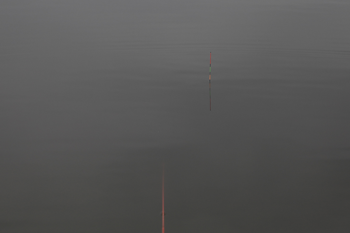 5ec4fd0fc67c81592259e293b155101b_1615116211_5103.jpg 5ec4fd0fc67c81592259e293b155101b_1615116211_5103.jpg