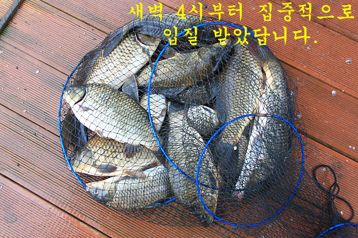 60ecff8ab04a709116bde49a301f2eeb_1662254724_4802.jpg 60ecff8ab04a709116bde49a301f2eeb_1662254724_4802.jpg
