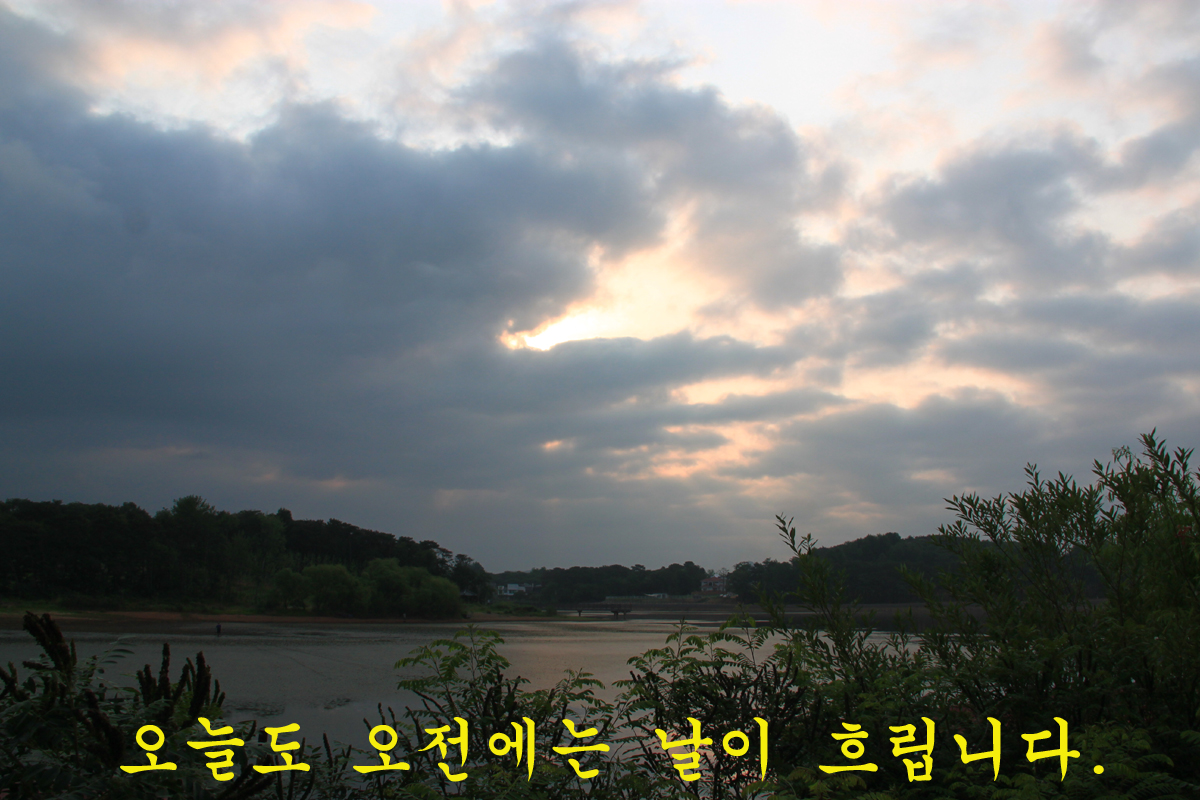 6299fd09539fa6798a846c4edb00be81_1655624543_0737.jpg