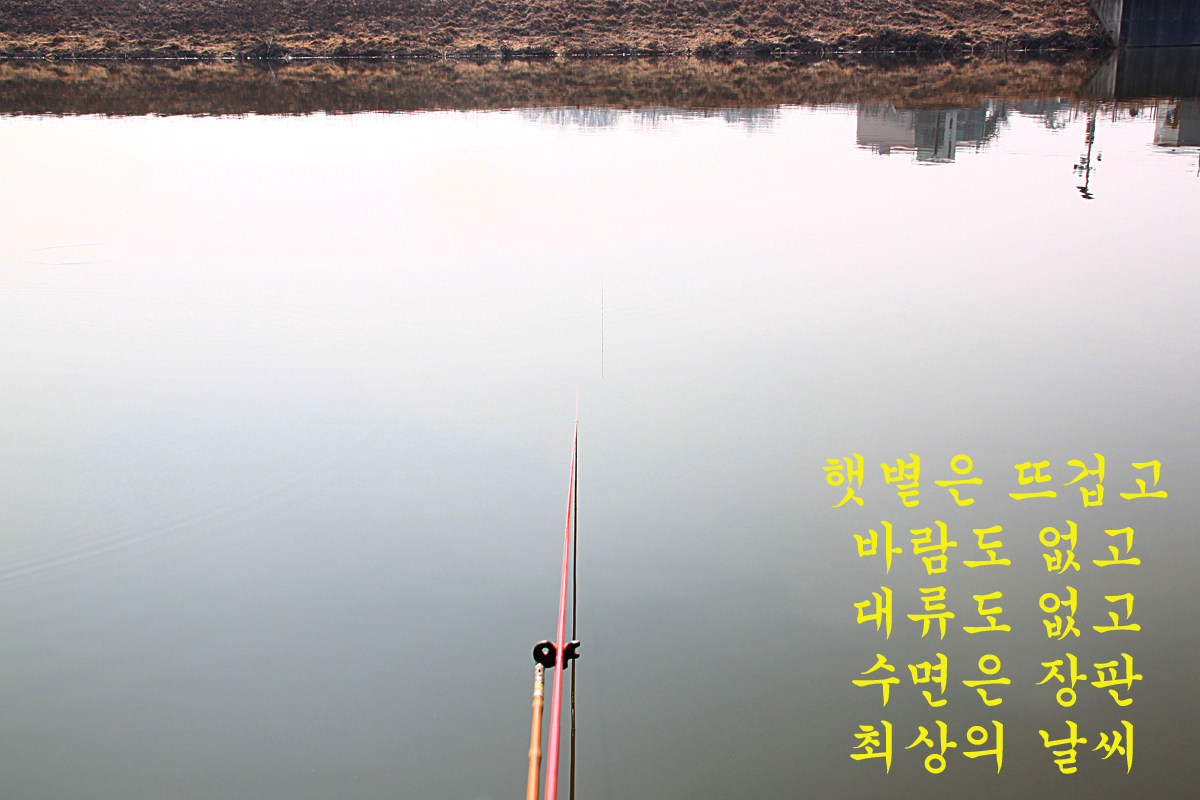 706ac14bcde892c91d09530f1d950c89_1646816219_6705.jpg