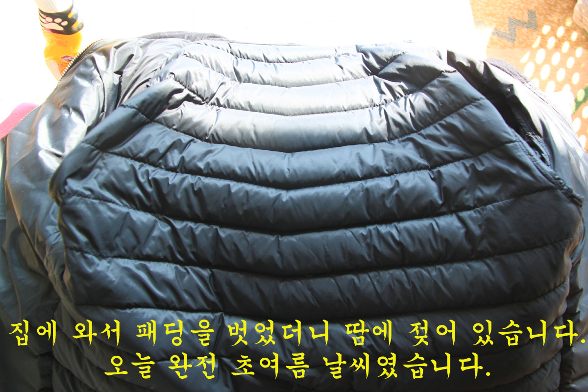 706ac14bcde892c91d09530f1d950c89_1646816239_7941.jpg