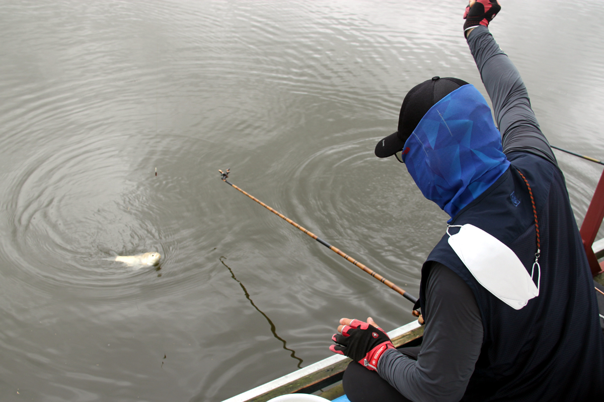 79a909efbeefc00847f618bb53623e83_1625394994_34.jpg