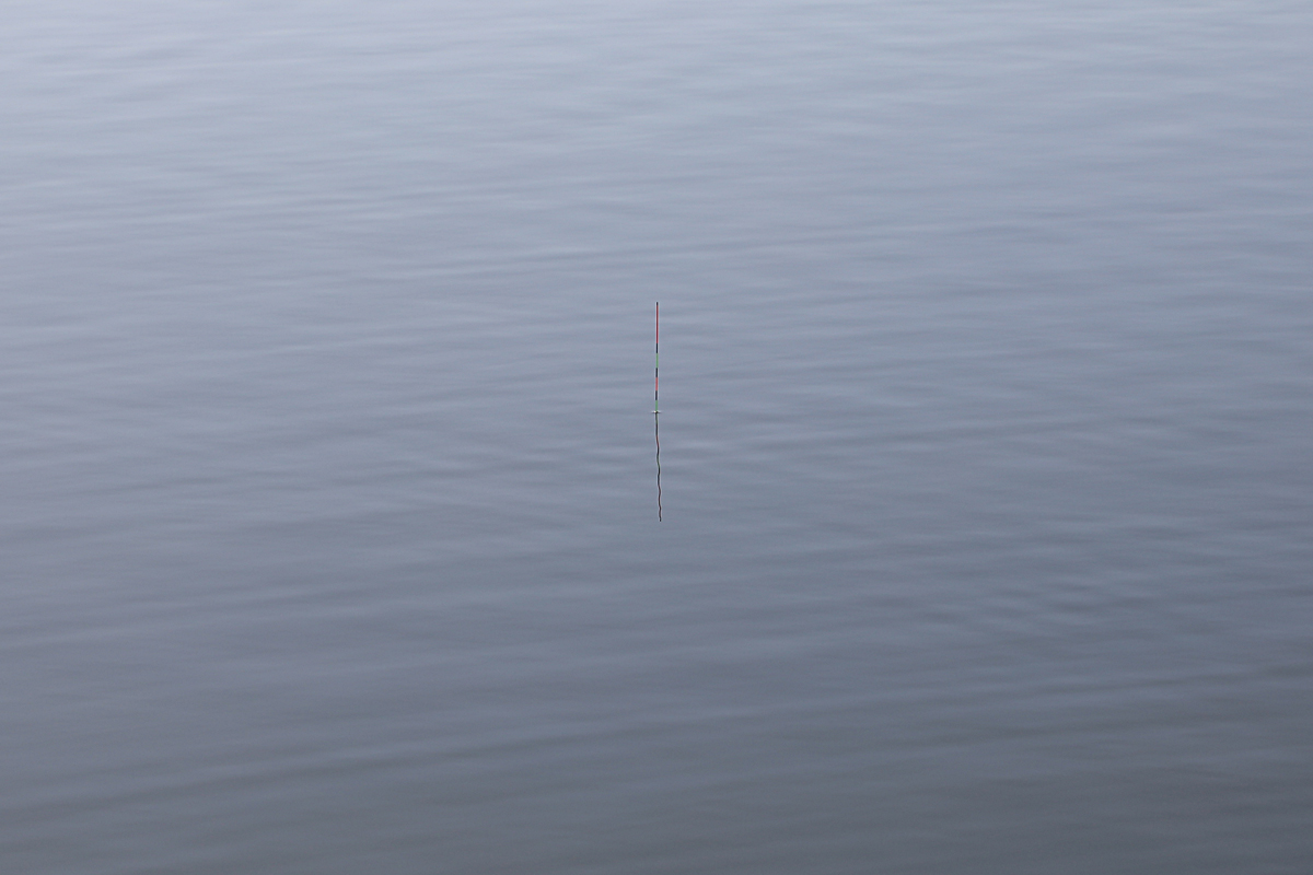 869867836965e8ea3acf242947f05515_1611051279_0691.jpg 869867836965e8ea3acf242947f05515_1611051279_0691.jpg