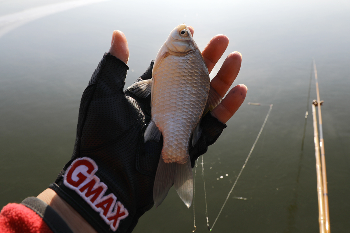 8a752711feb1d466dafea8a983c6a051_1610186664_3724.jpg