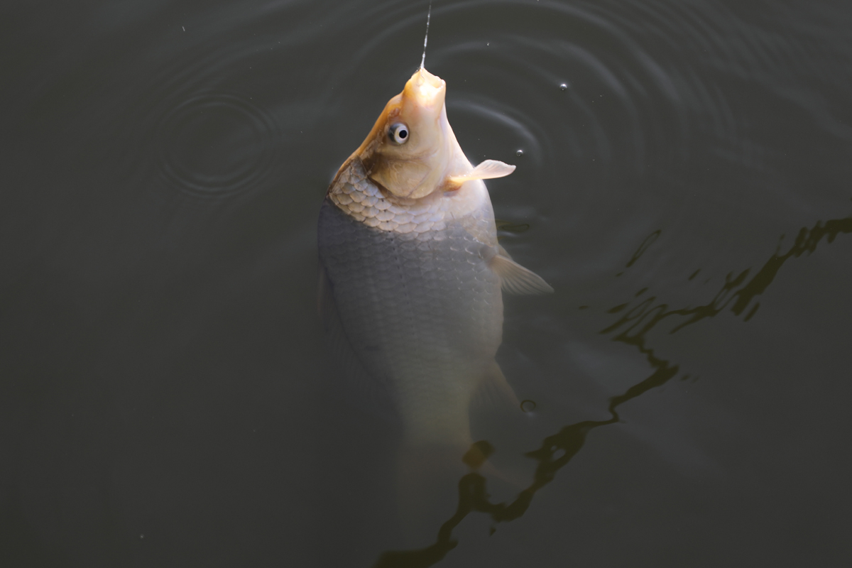 8d2a2a1ce0271922e25ee1958970d084_1612089081_0632.jpg