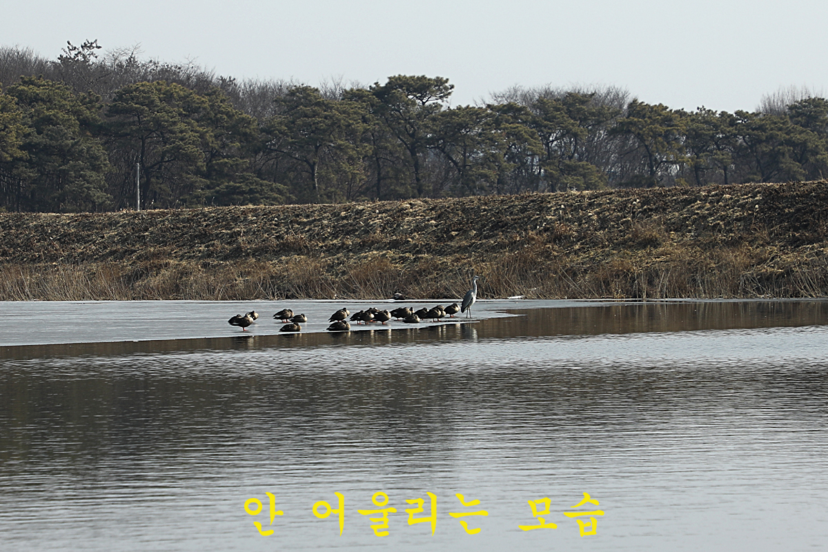 9d37d806ed73725185d8cd92aff6a6fc_1675497713_6098.jpg