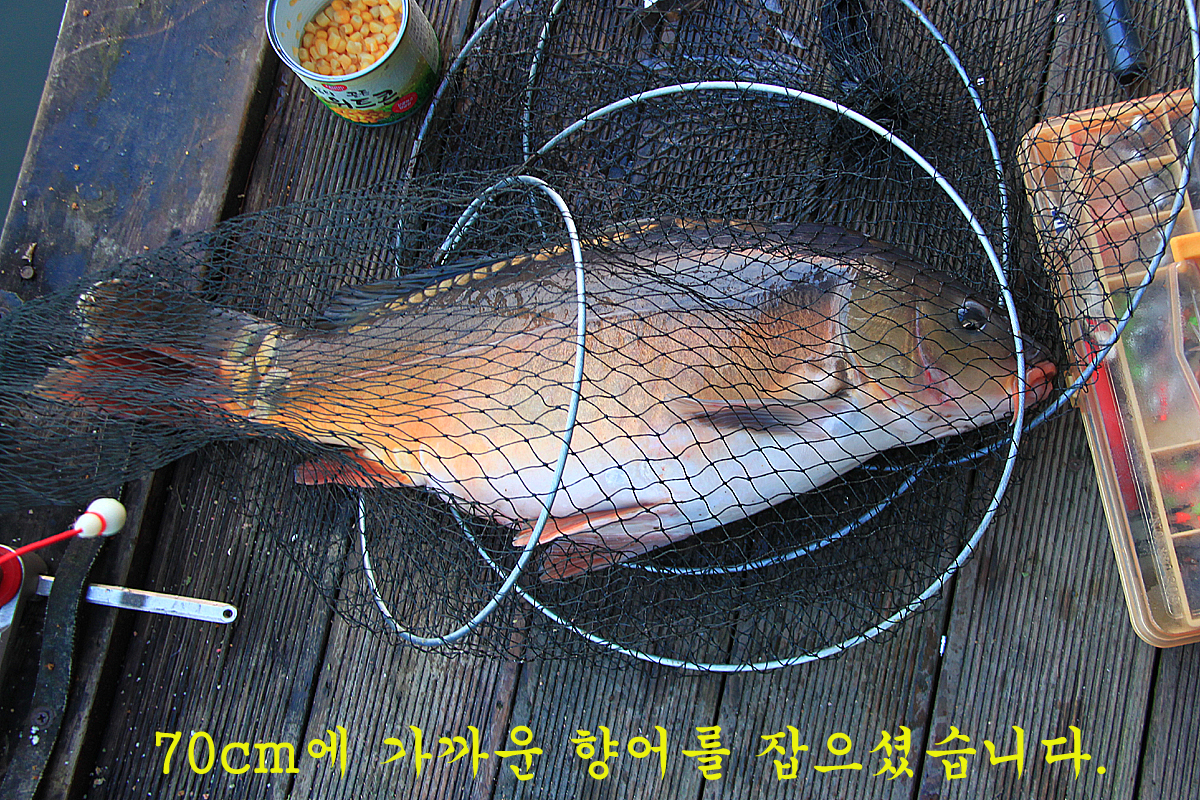 abd070d3b089c3ff54078e34cc210818_1639297732_8803.jpg