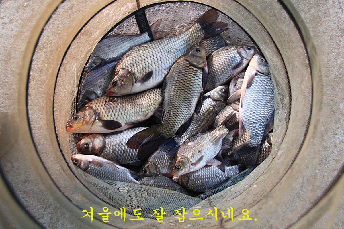 abd070d3b089c3ff54078e34cc210818_1639297749_087.jpg