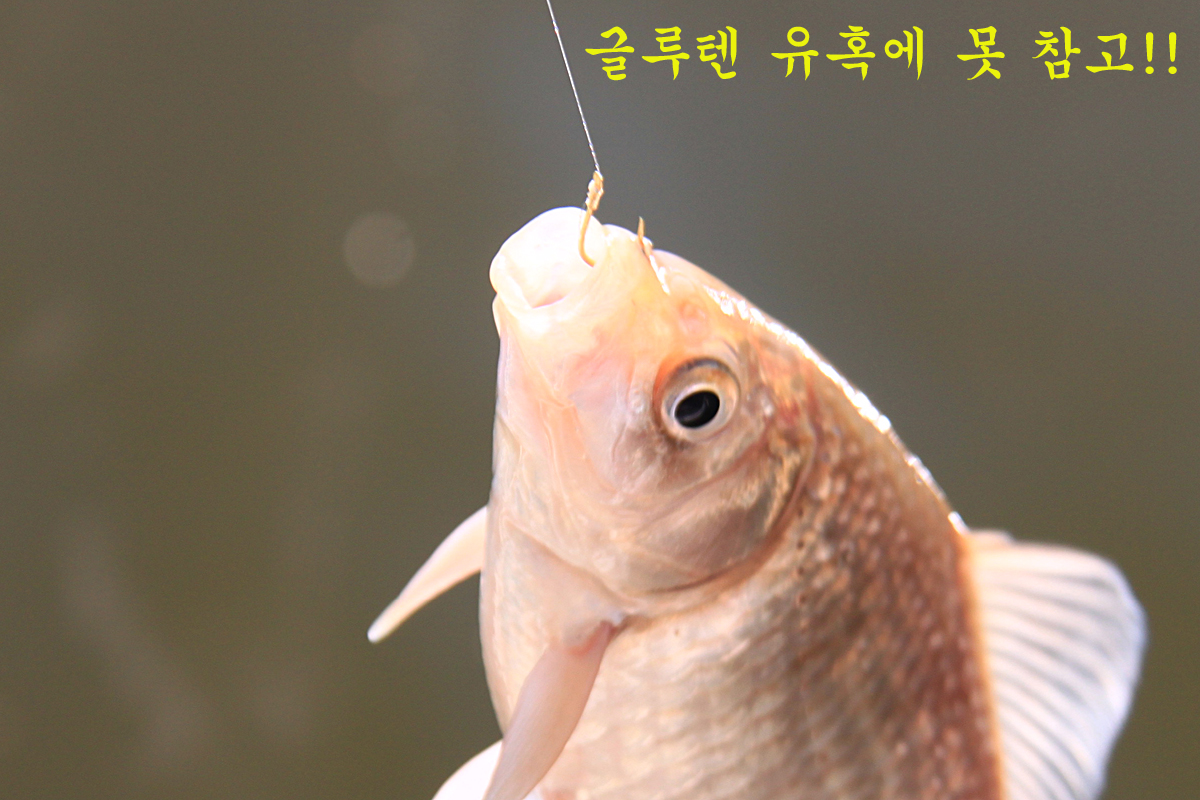 abd070d3b089c3ff54078e34cc210818_1639730587_3545.jpg