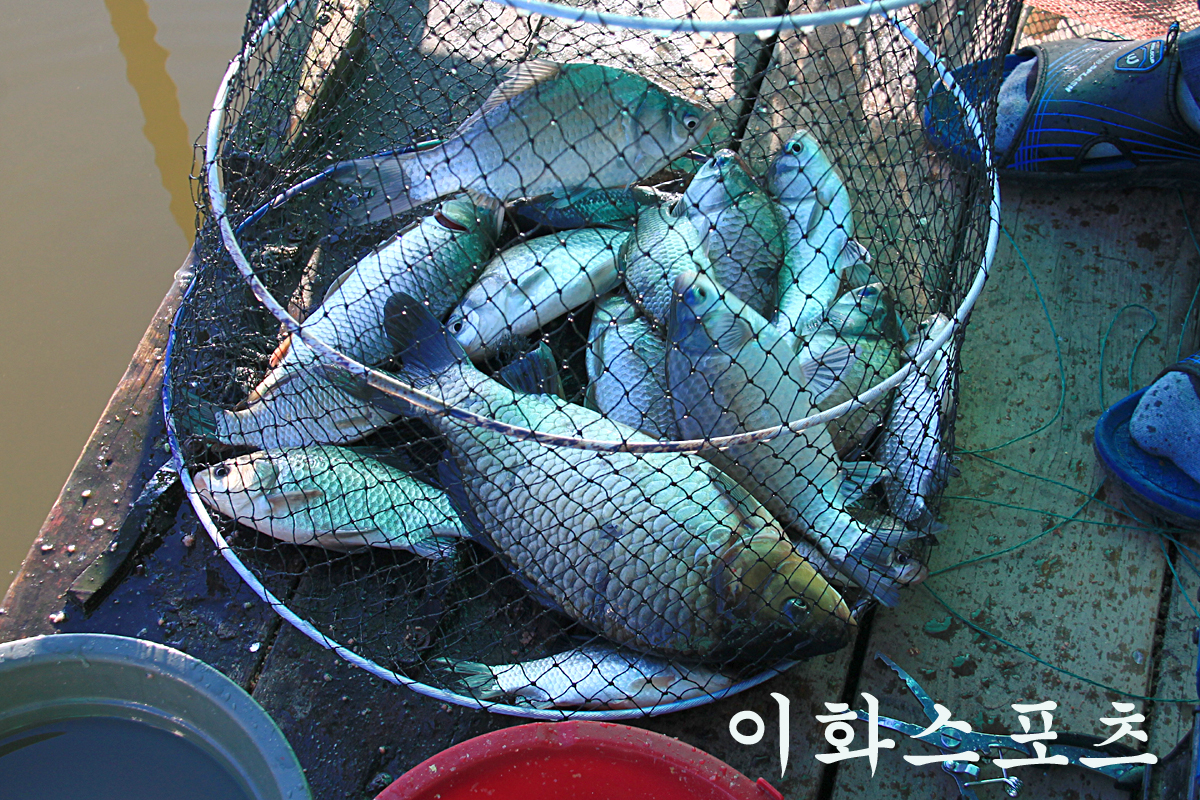 cba34d0a8ace66f3d102e77f1a68b1b7_1601198406_8716.jpg cba34d0a8ace66f3d102e77f1a68b1b7_1601198406_8716.jpg