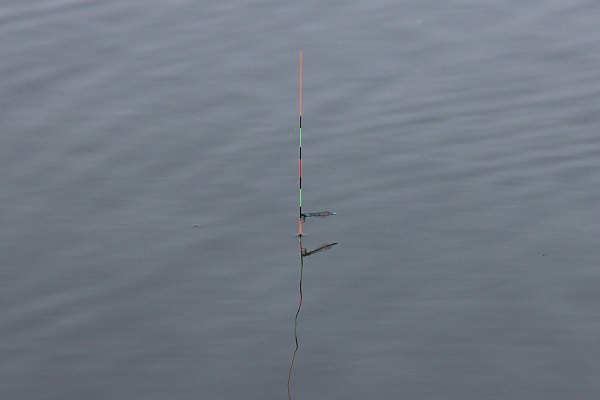 e168403d3472a206241e59977d31427c_1622374409_8536.jpg
