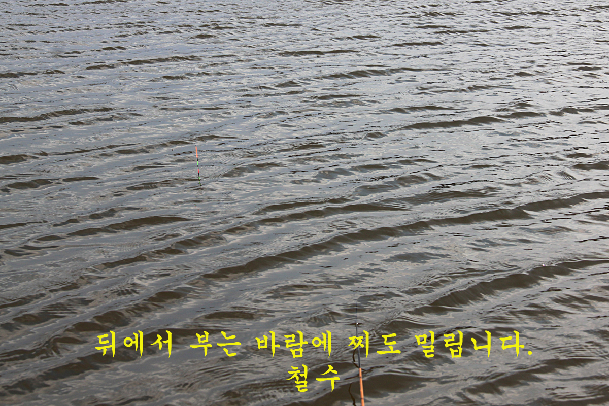 ef09ee30d0ac34f8c9c437f3cd4c6ced_1645439756_3538.jpg ef09ee30d0ac34f8c9c437f3cd4c6ced_1645439756_3538.jpg