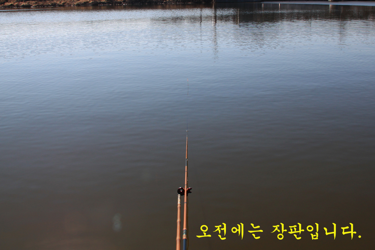 ef09ee30d0ac34f8c9c437f3cd4c6ced_1645952625_2239.jpg