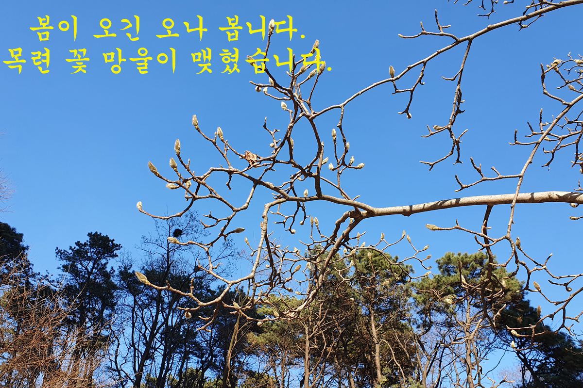ef09ee30d0ac34f8c9c437f3cd4c6ced_1645952637_2692.jpg