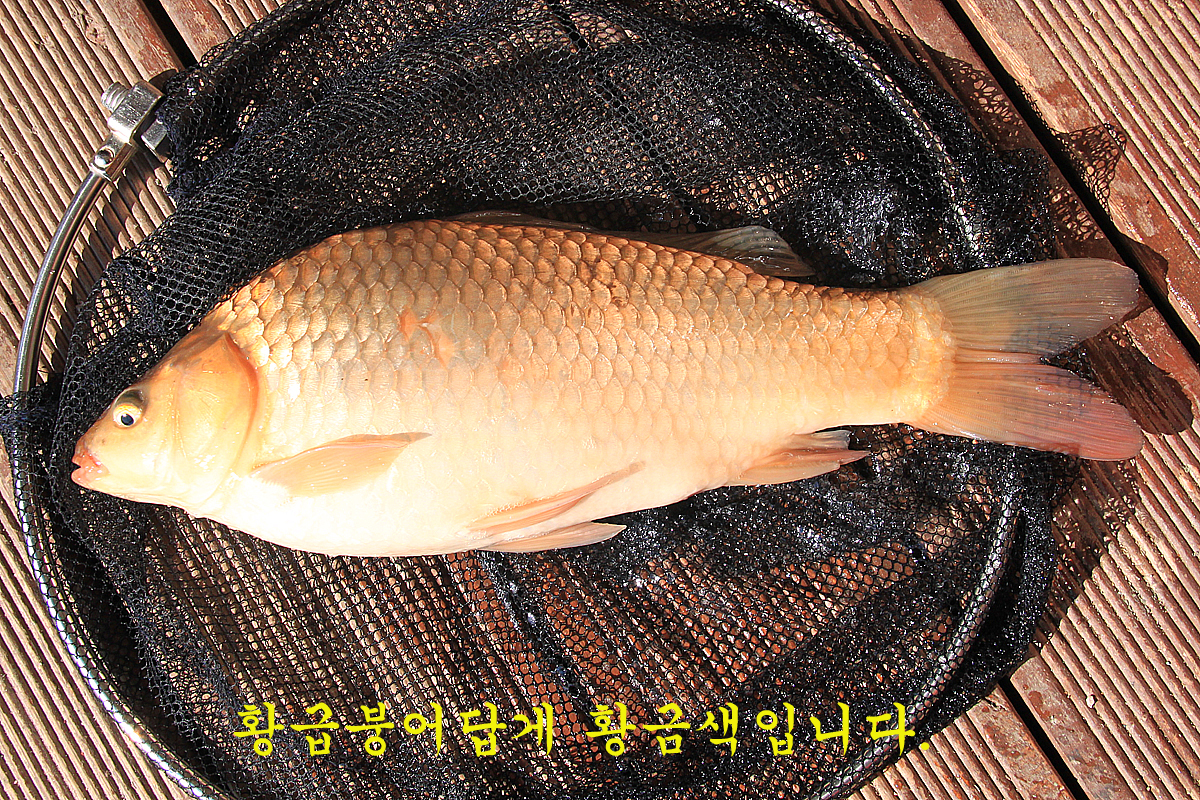 f52f0625e7fb2fb4b645c57cb9d3360f_1643791612_0654.jpg f52f0625e7fb2fb4b645c57cb9d3360f_1643791612_0654.jpg