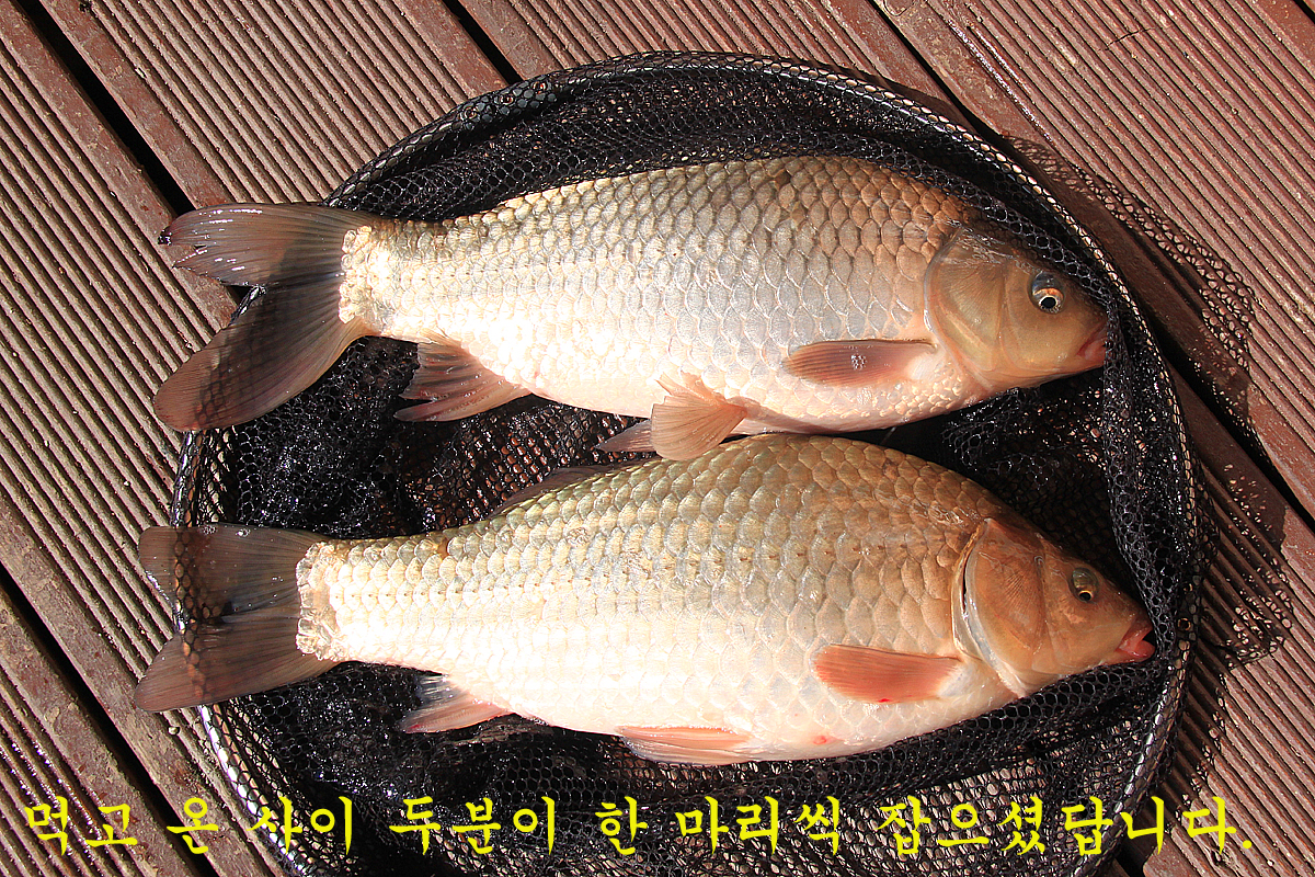 f52f0625e7fb2fb4b645c57cb9d3360f_1643791612_8258.jpg f52f0625e7fb2fb4b645c57cb9d3360f_1643791612_8258.jpg