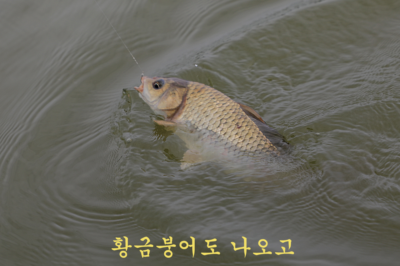 2d671397908a757cdd890b3c23ea3d3b_1752398762_2904.jpg 2d671397908a757cdd890b3c23ea3d3b_1752398762_2904.jpg