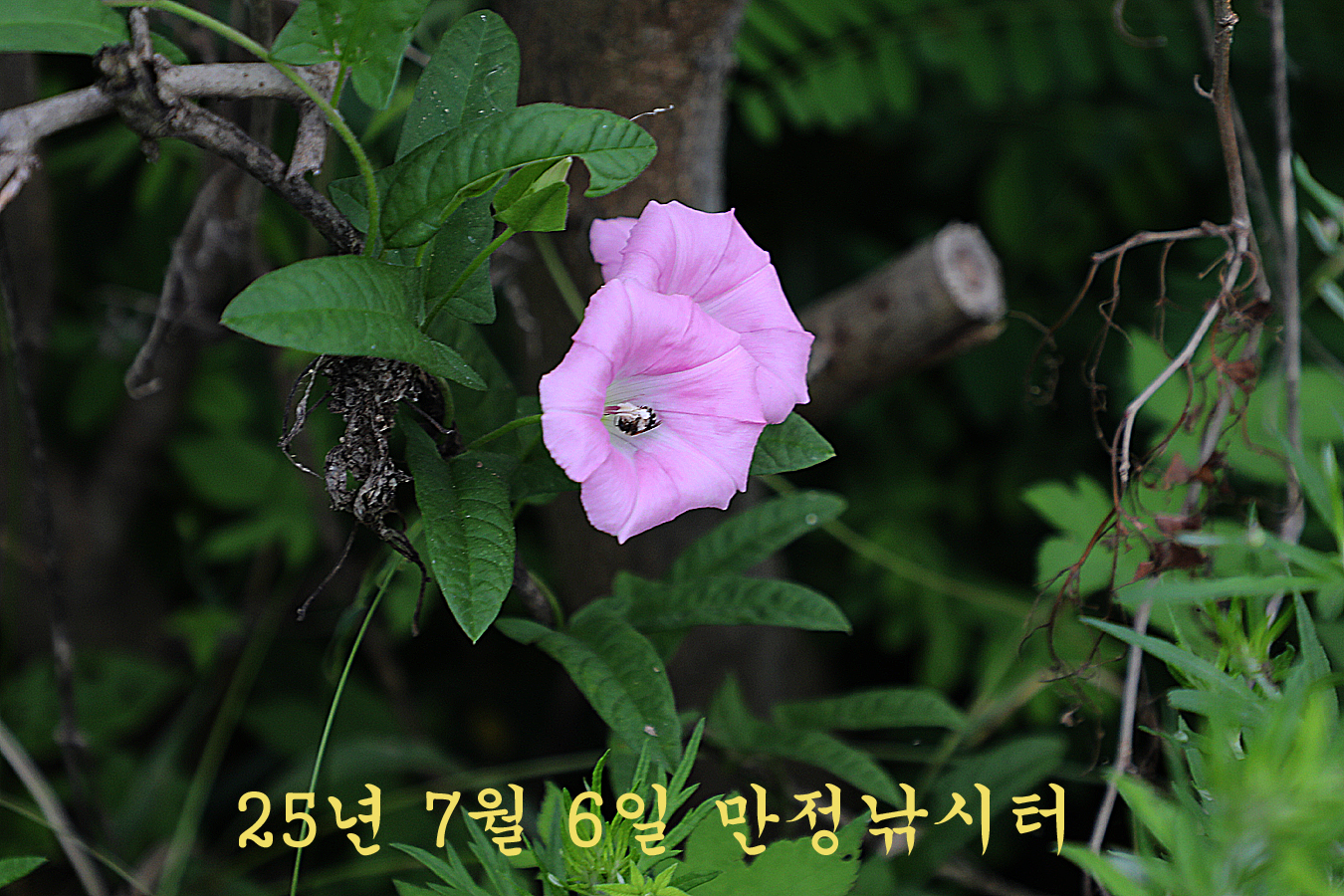 cab59f7af59dcd50c19f0e4e90d348ec_1751782389_4838.jpg cab59f7af59dcd50c19f0e4e90d348ec_1751782389_4838.jpg