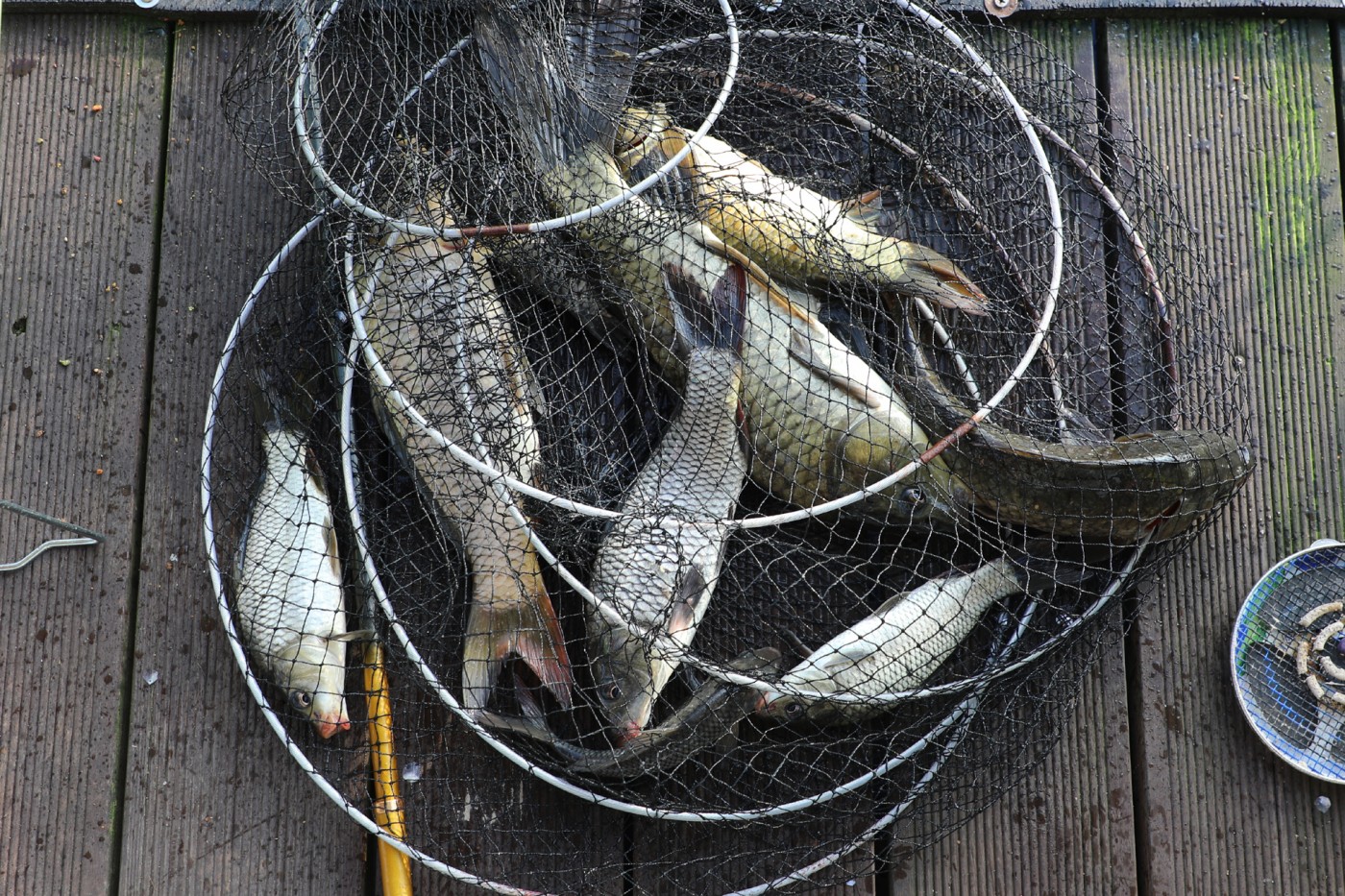 94783cd38f2bae67b10e6c291701b939_1756610777_799.jpg