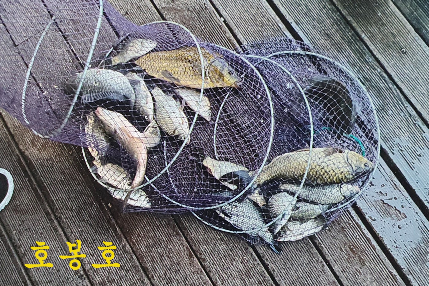 4d1d5a67d892cc994f0805a4450ab26a_1759651492_8799.jpg