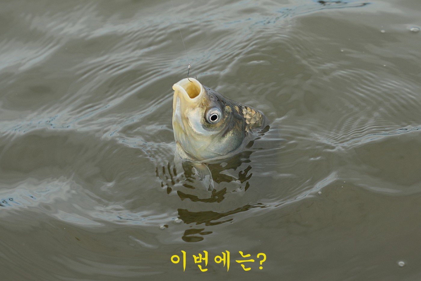 275d99b05e6ab34f8a9dfb4c4a809a5e_1786258055_9855.jpg