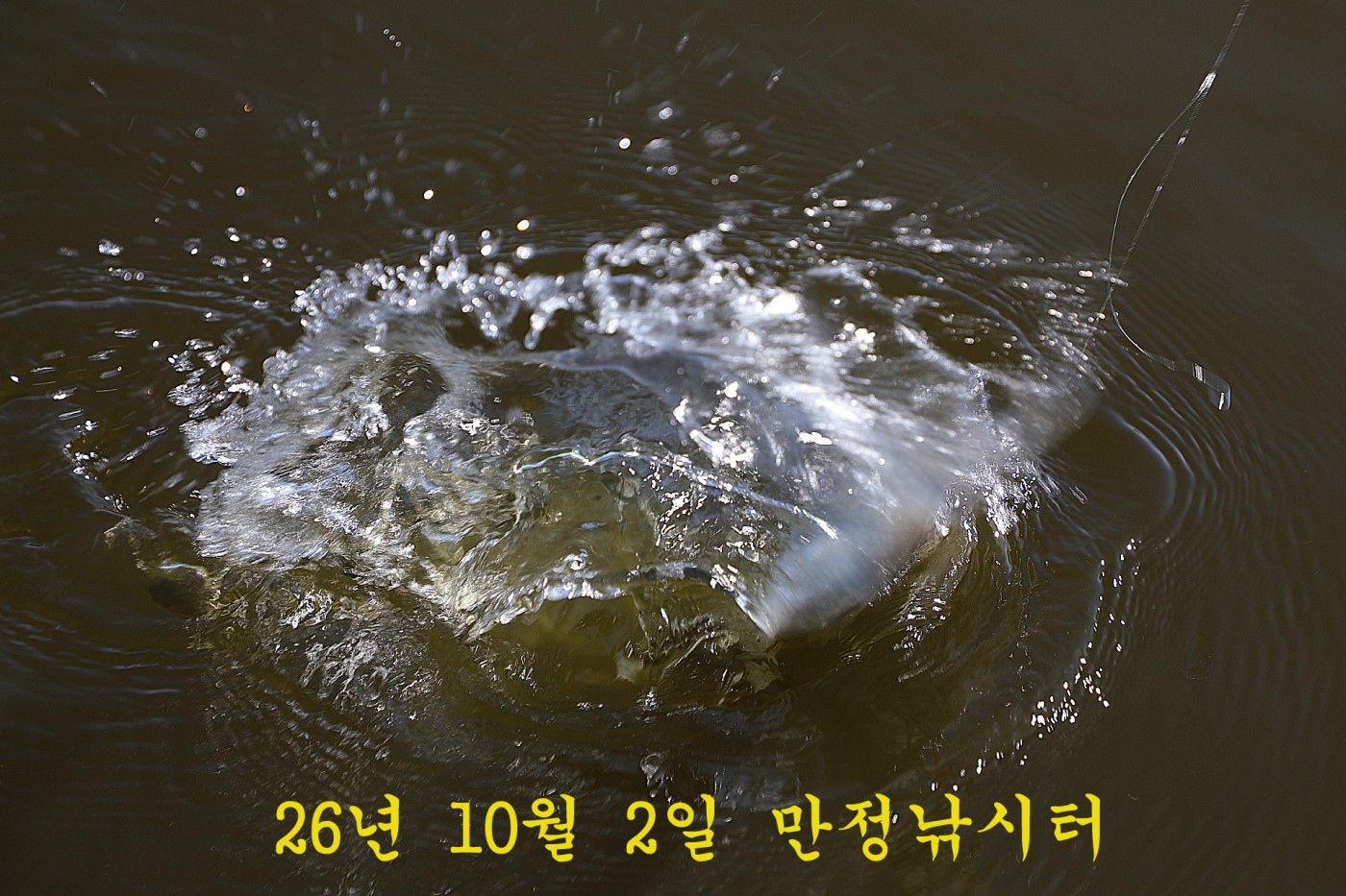 6bc39bc40f3570ca28397d755e0fb527_1790937421_4456.jpg